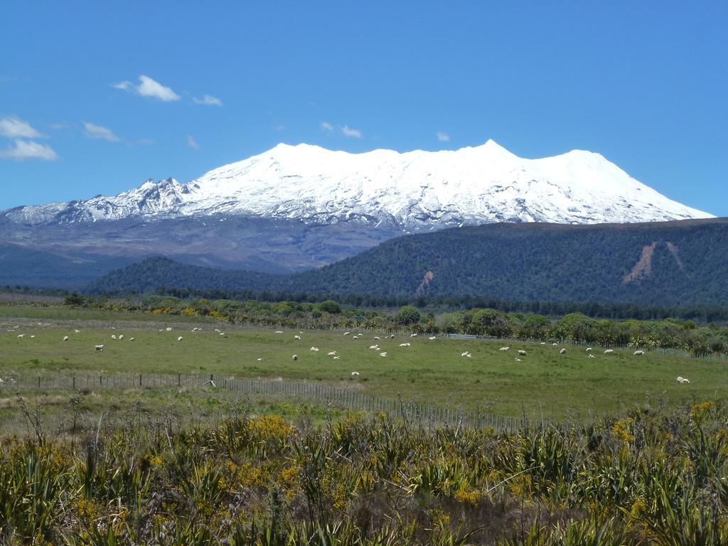 Manowhenua Lodge ナショナル・パーク エクステリア 写真